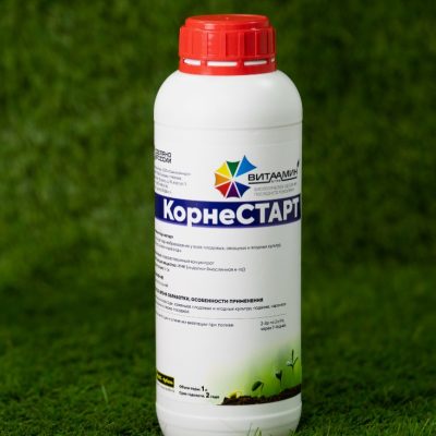 Без названия
